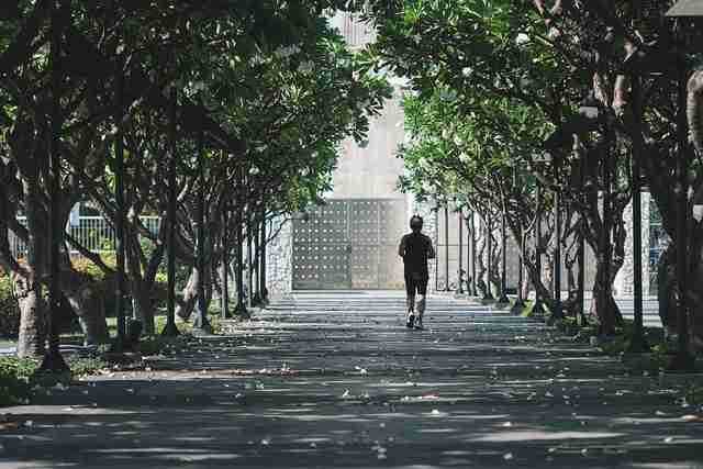 为什么每日大赛在线观看机会窗口在哪?深度剖析