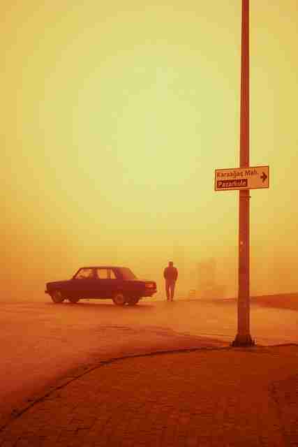 优质蘑菇影视官网揭秘：使用心得