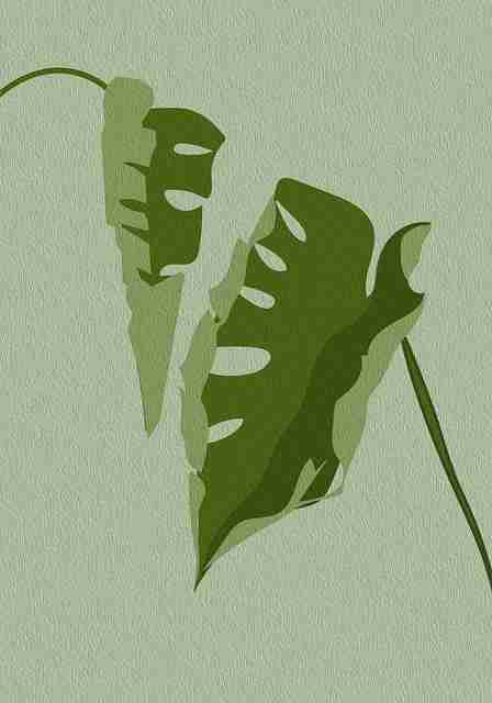 致胜重塑麻豆网,用户生态(深度)