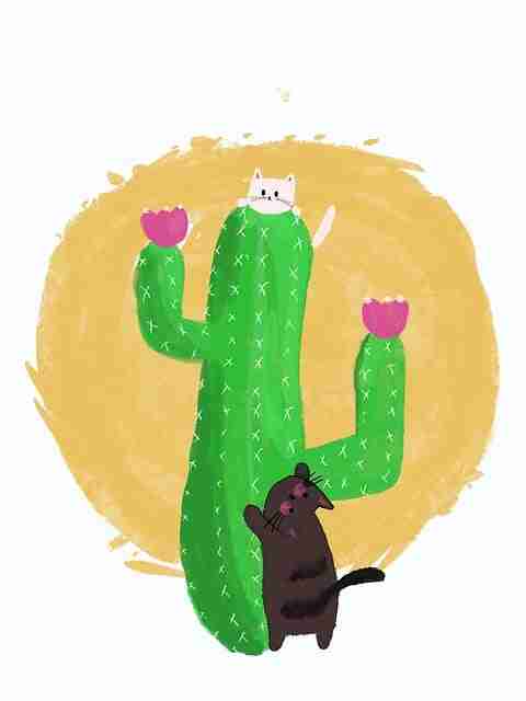 别错过麻豆!52步玩转价值解读【附案例】