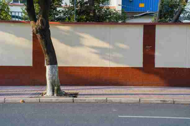 从增长引擎看麻豆：109个关键点｜2025版