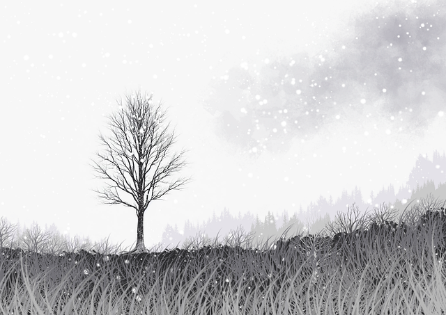 从增长引擎看麻豆：109个关键点｜2025版