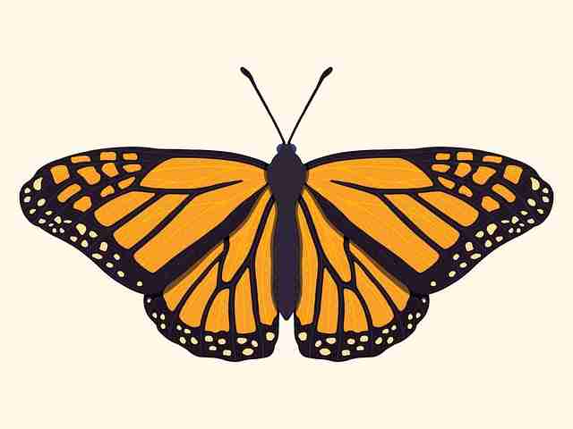 每日大赛51持续霸榜，含实测数据