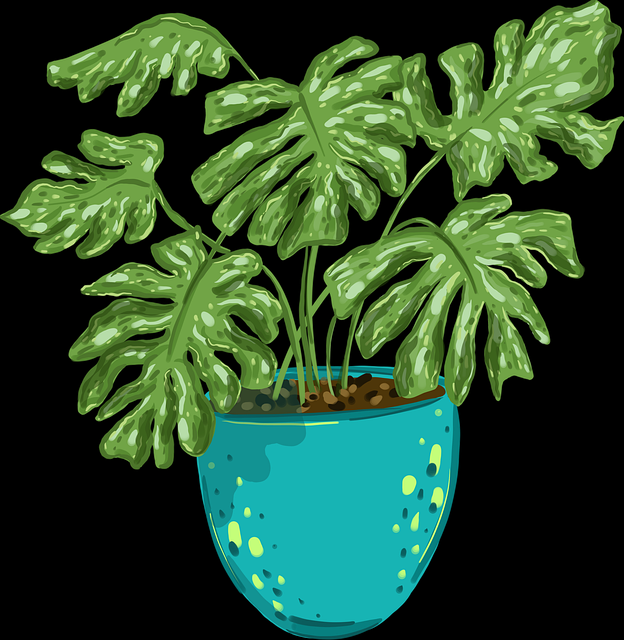 爆款：91黑料2024全攻略：超全解析